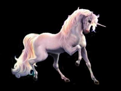licorne